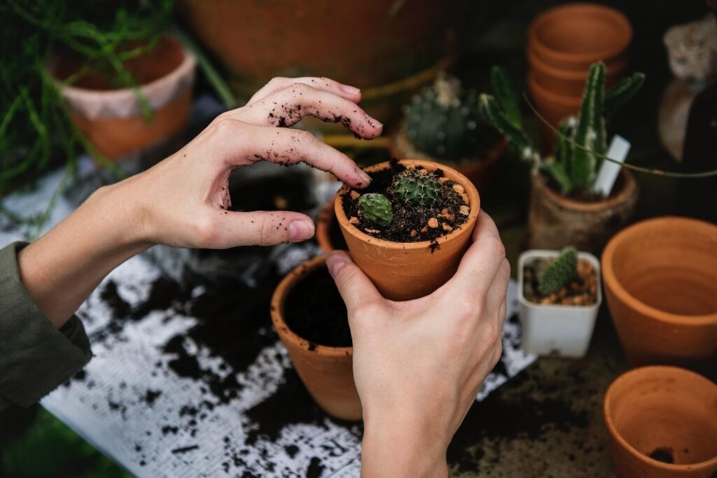 Mom & her Plants